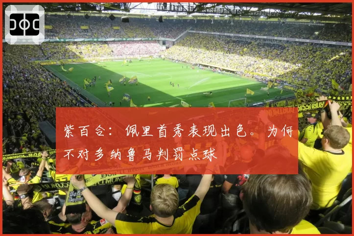 紫百合：佩里首秀表现出色。为何不对多纳鲁马判罚点球