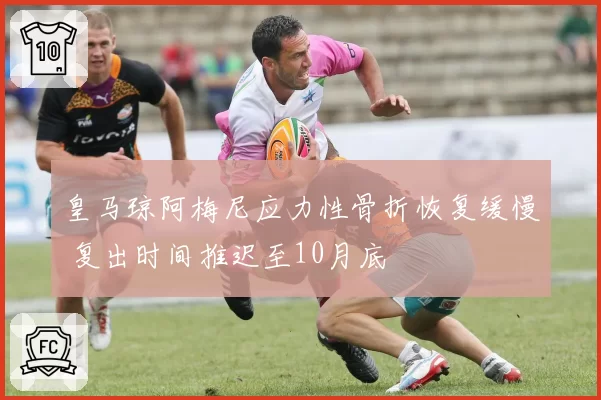 皇马琼阿梅尼应力性骨折恢复缓慢 复出时间推迟至10月底